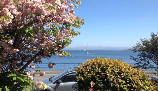 Tideline. Waterfront ground floor spacious flat with garden and open sea views